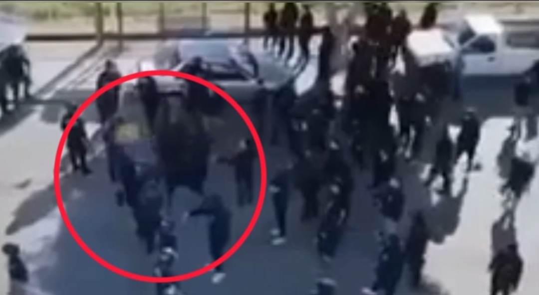 4437266447946156 image