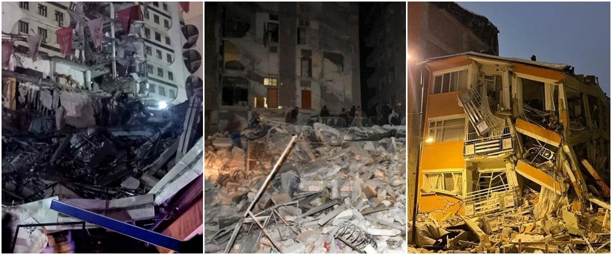 4449087891185126 image