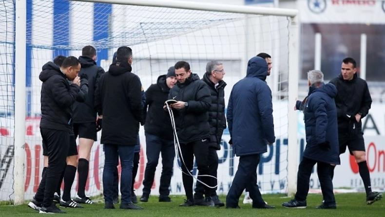 4456007447026083 image