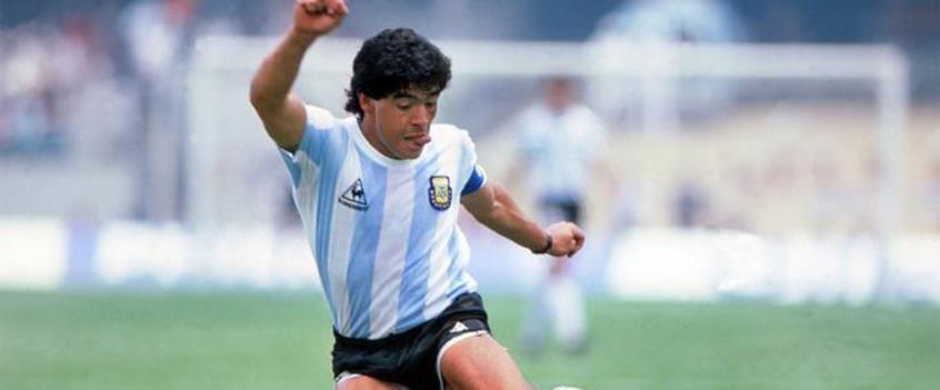 4459662431593454 image