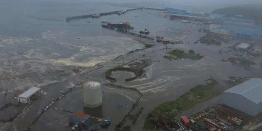 5231787471874764 cats