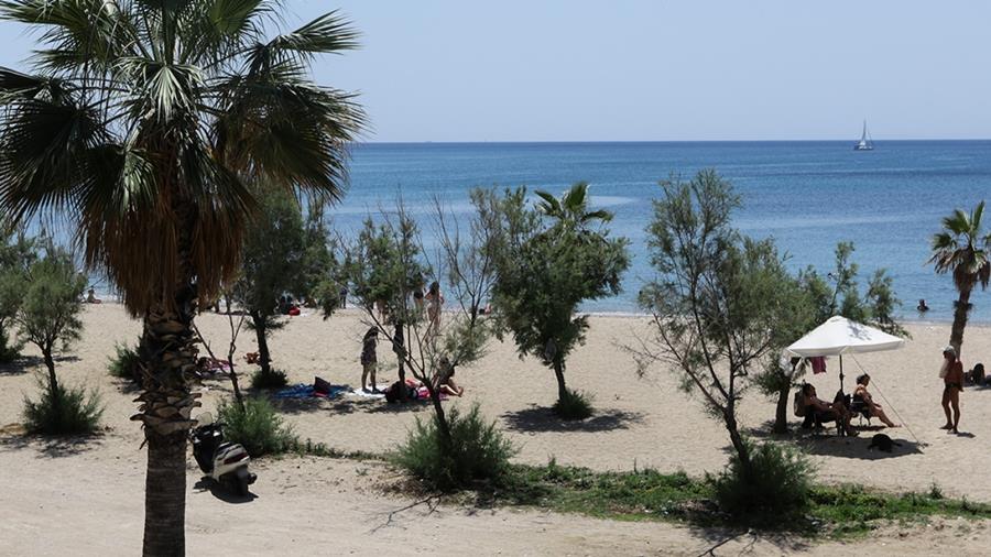 5231793450714772 xrwma-nea-edem