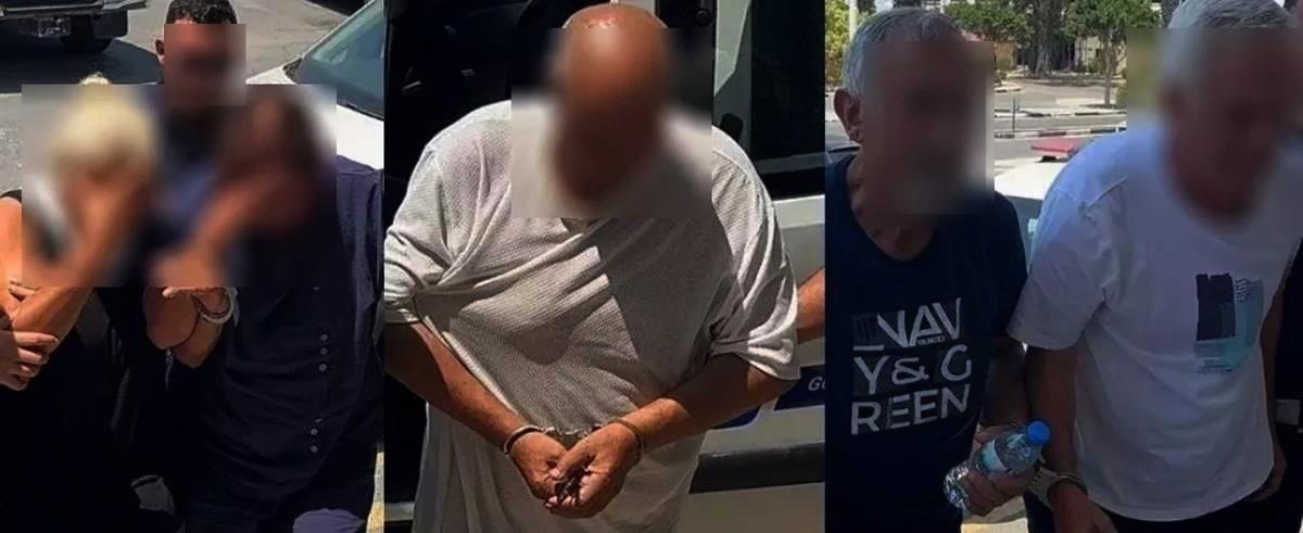 5232241838164352 cats