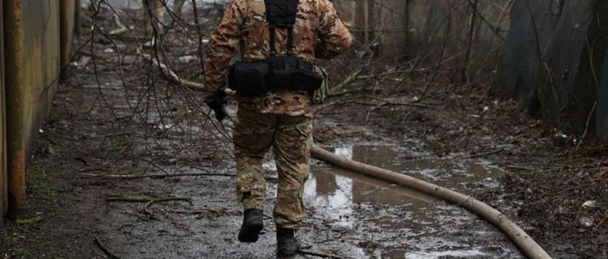 5232293010893579 cats