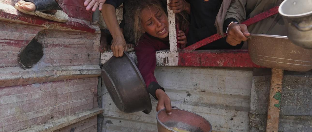 5232649448356876 cats