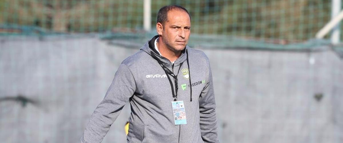 5232850552975380 cats