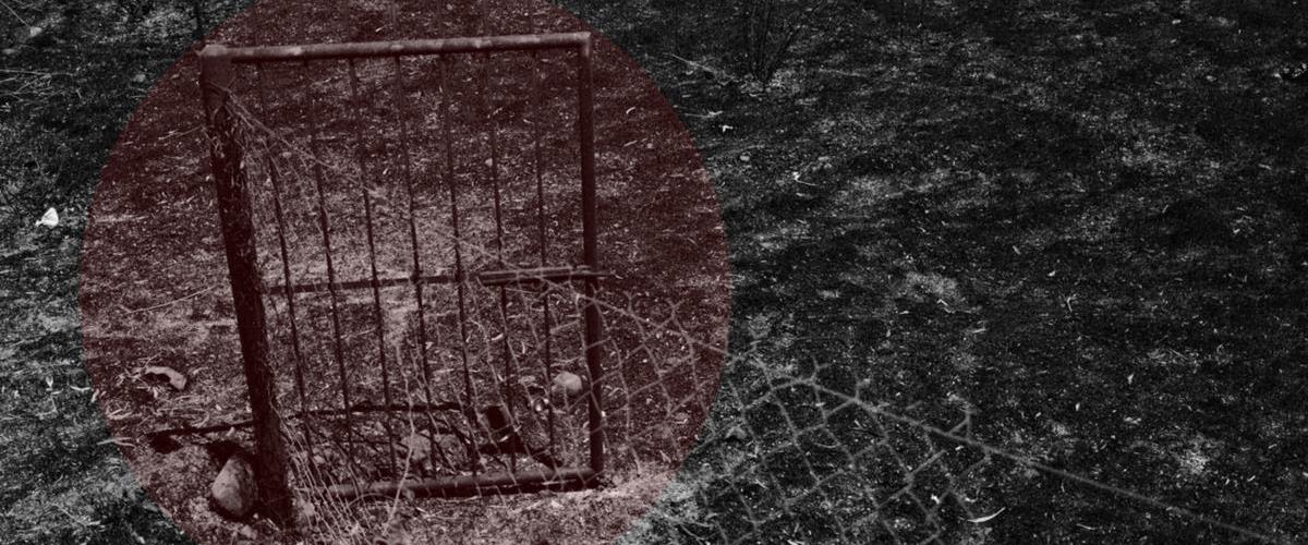 5232824338237050 Untitled-1