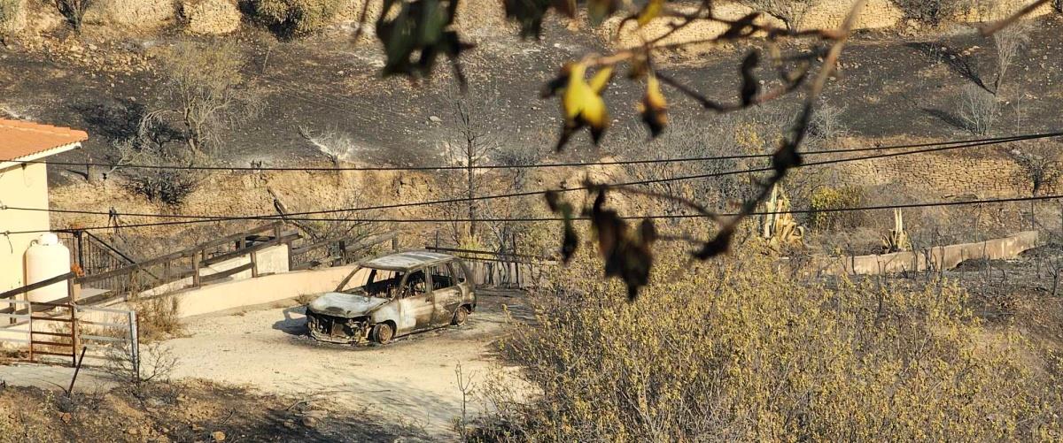 5233589169919557 524948694 1417216896216779 4343381730146459163 n