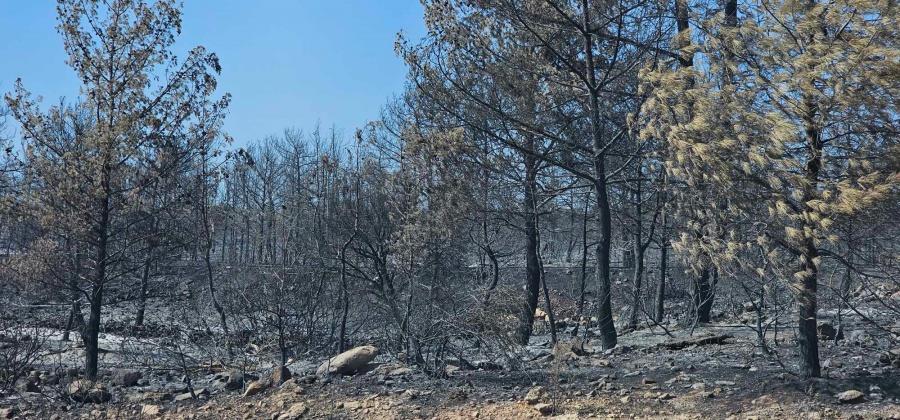 5233692439443070 521880295 739830508967448 5961699320444800294 n