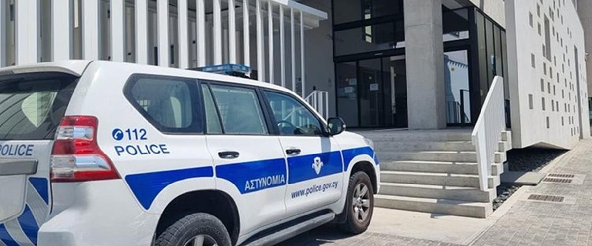 5234657306227280 cats XgpOluu.width-750