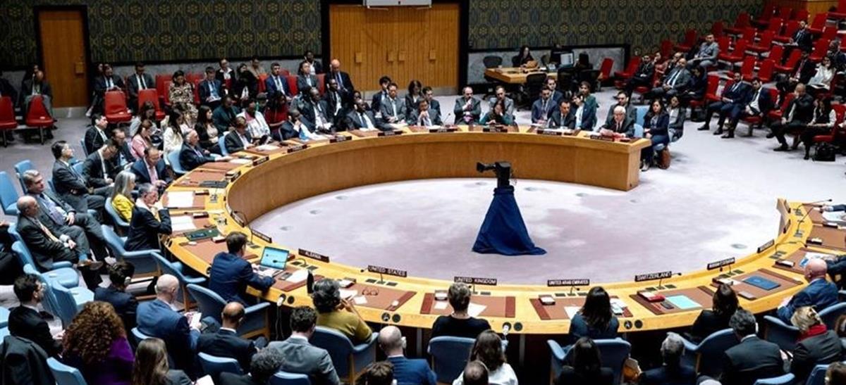 5235236468353418 cats