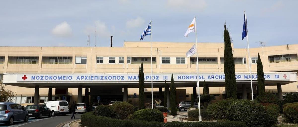 5235330084912601 cats