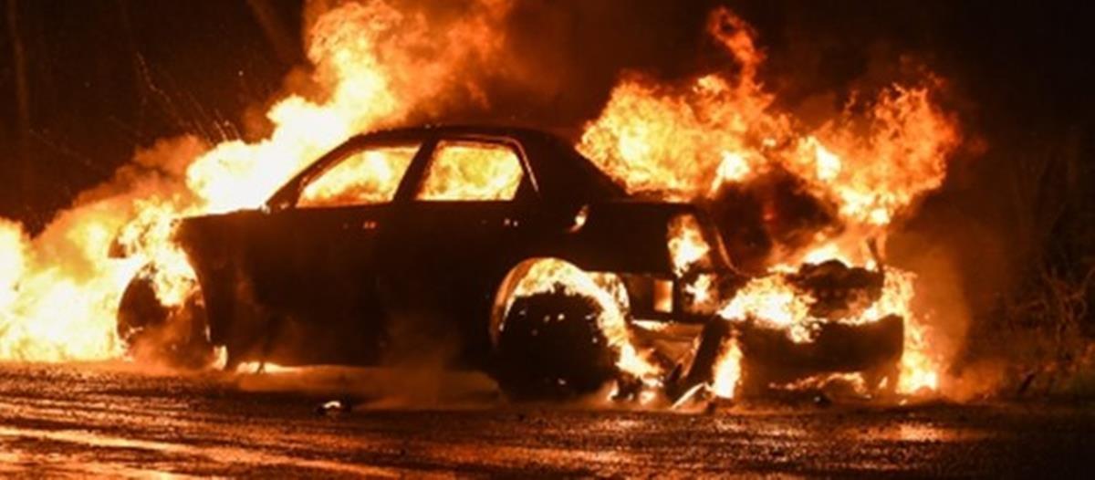 5236099131300612 cats