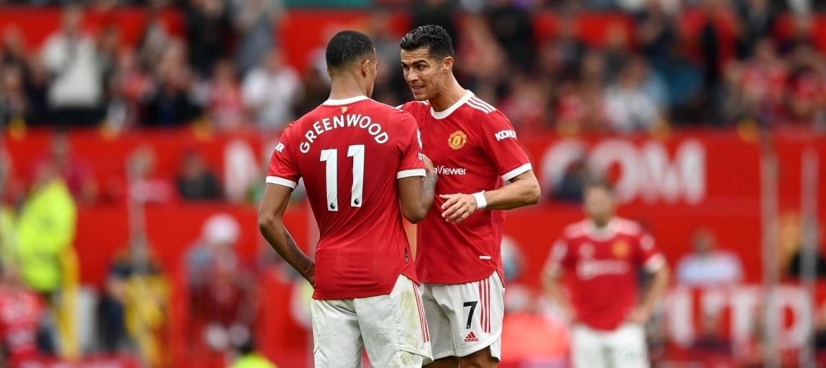 5236180271611725 cats