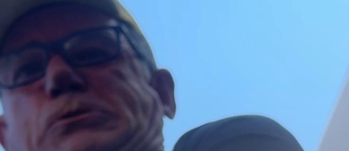 5236298201607830 cats