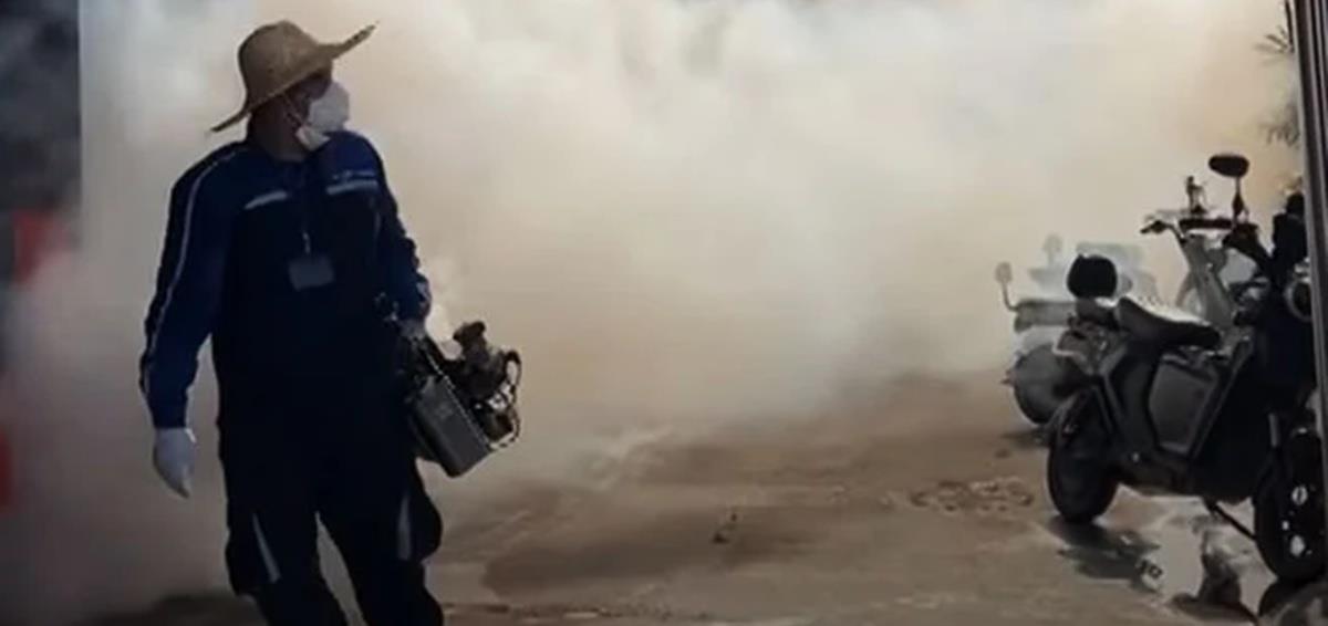 5237279129772139 cats