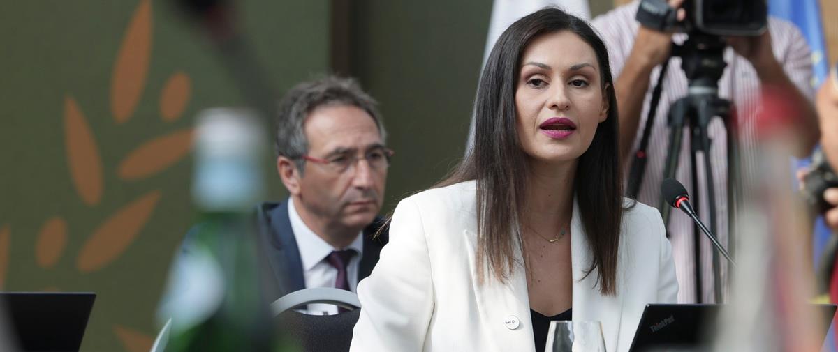 5237319660952013 cats