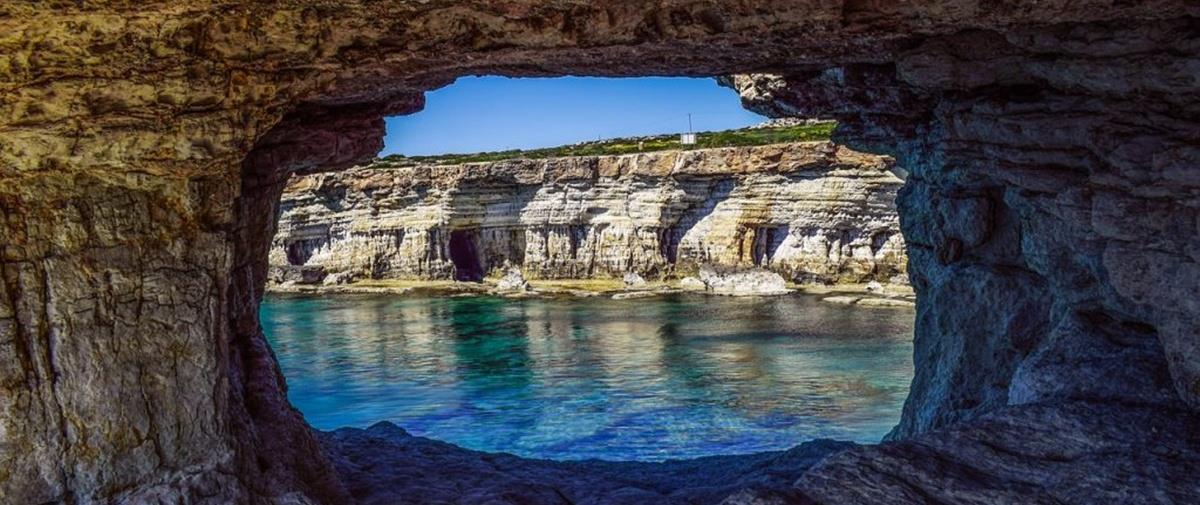 5237378618412794 cats