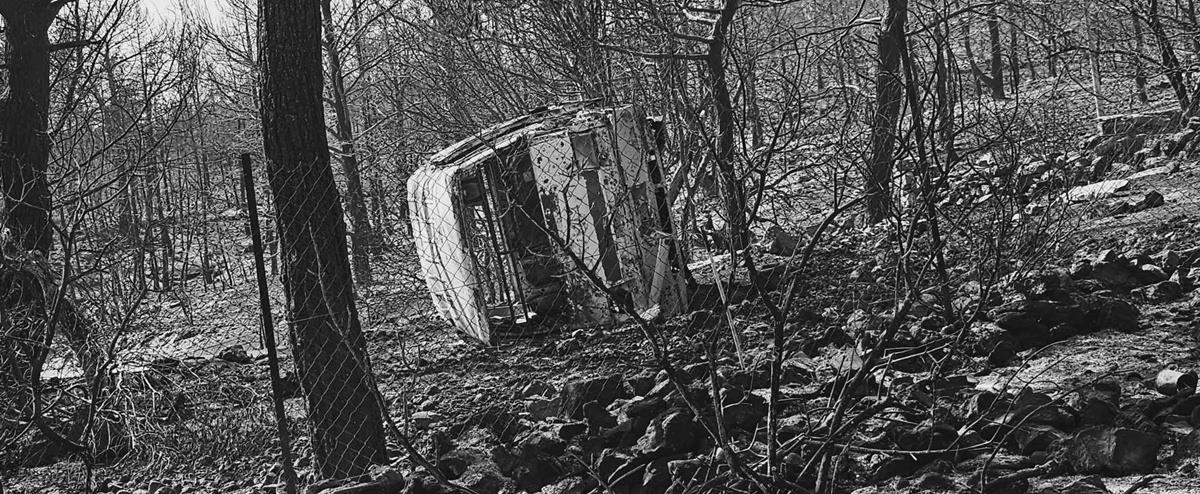 5237387317011179 cats