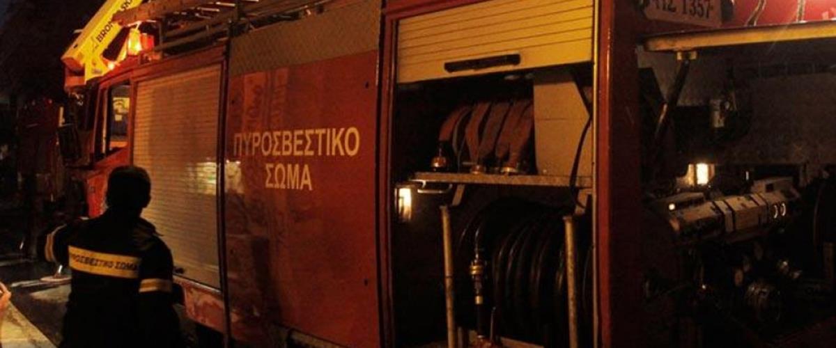 5237830683656514 cats