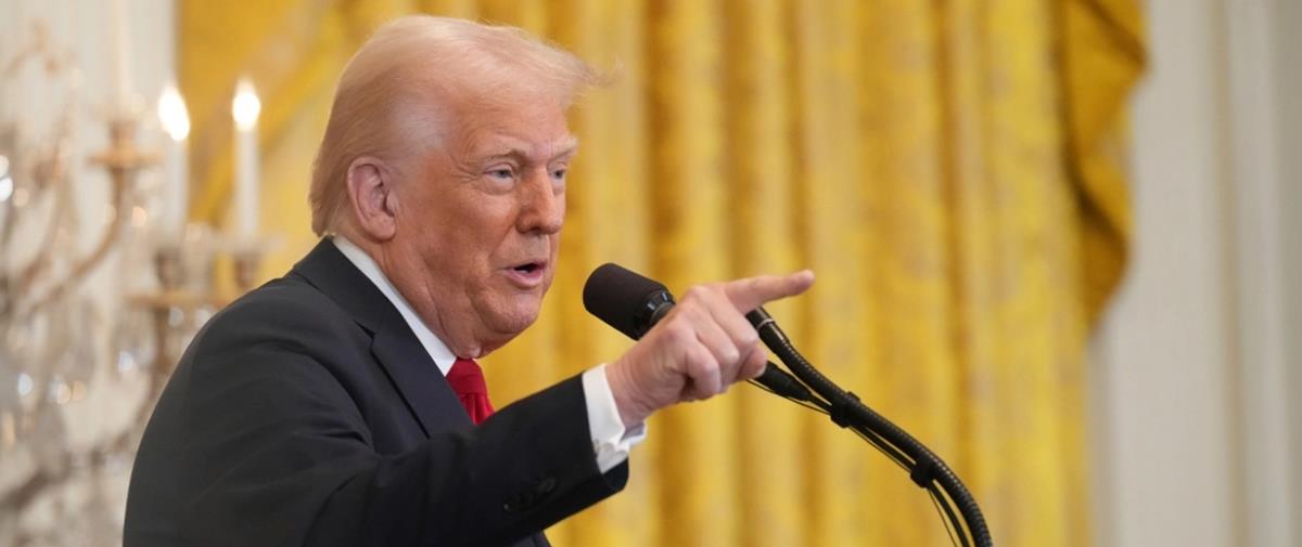 5237837142839551 cats