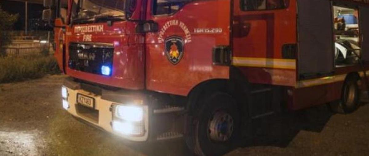 5237941286344626 cats