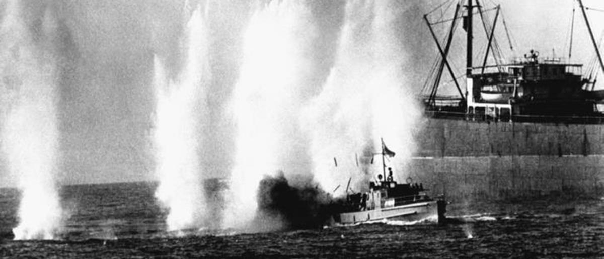 5238697562838238 cats