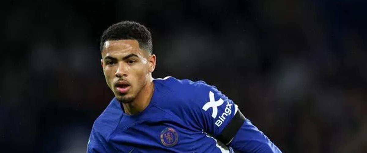 5238735033684780 cats