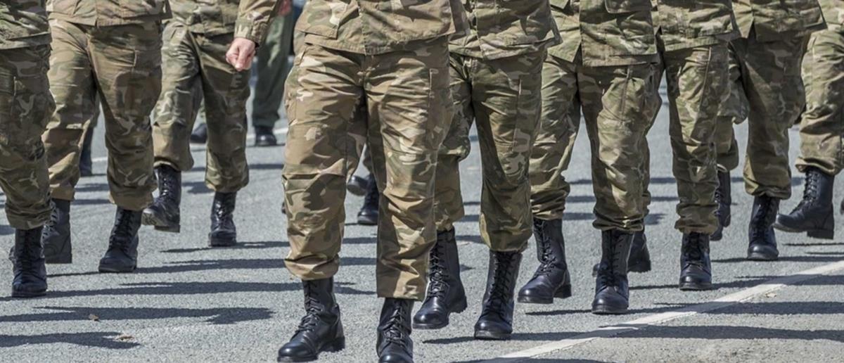 5238863601619142 cats