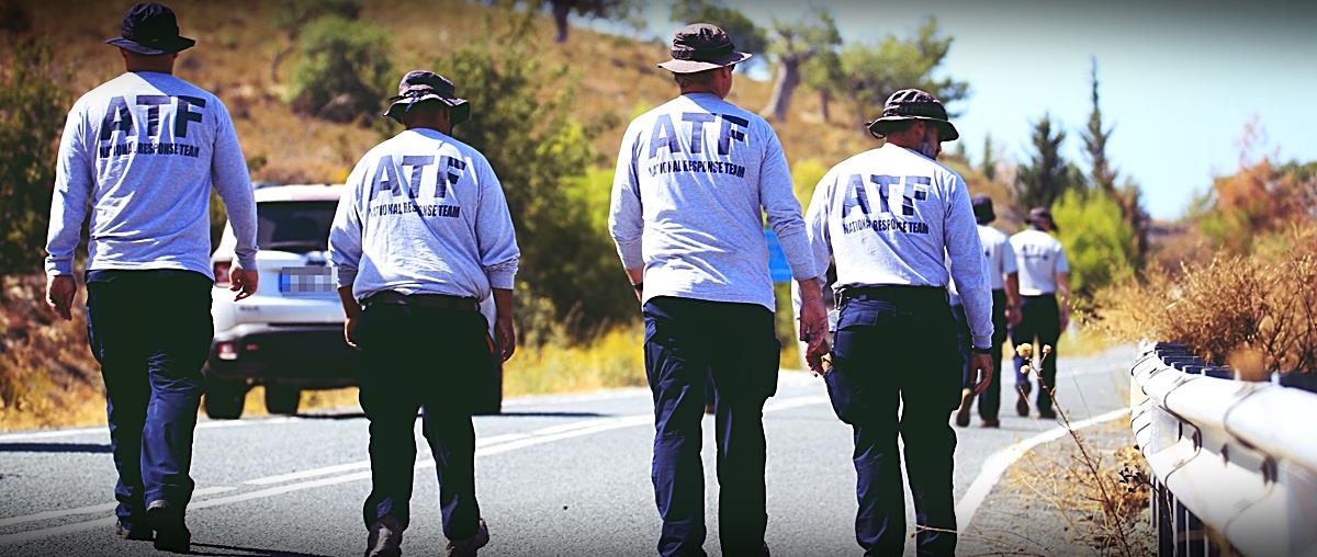 5238920887150037 cats