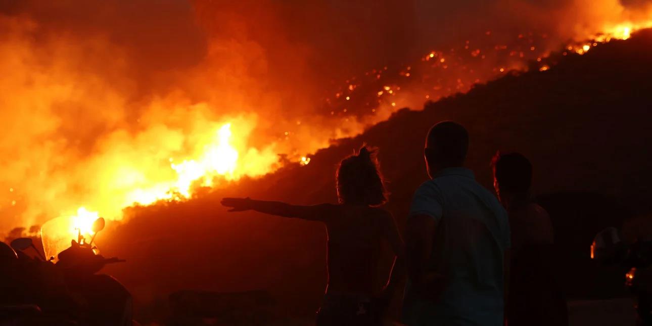 5239211592492700 image