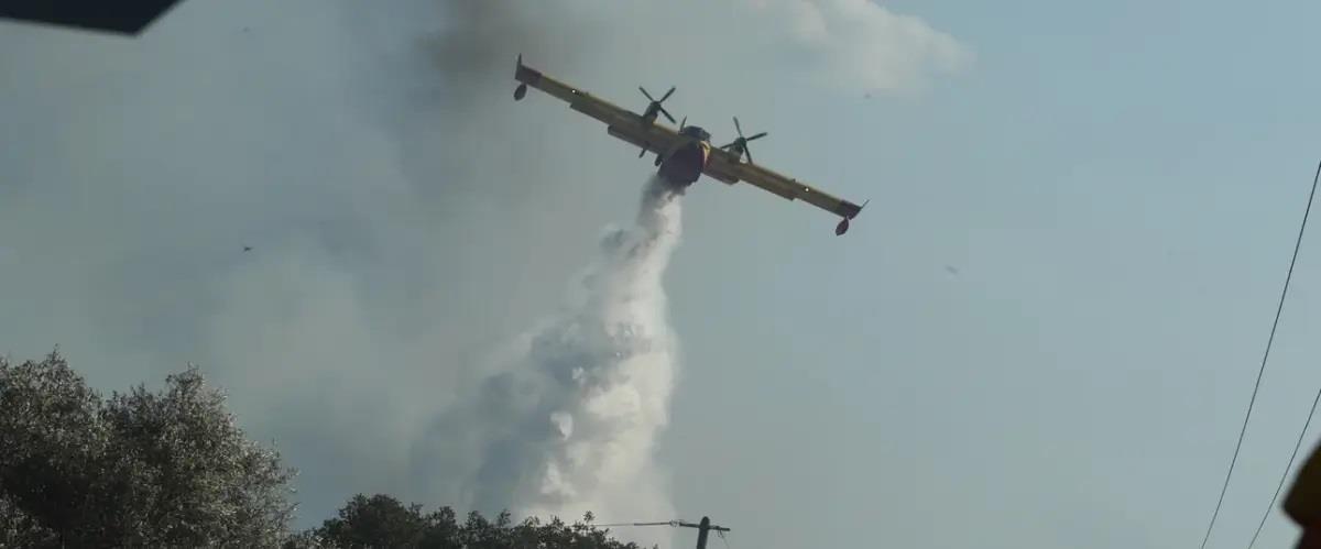 5239556420278456 keratea enaerio