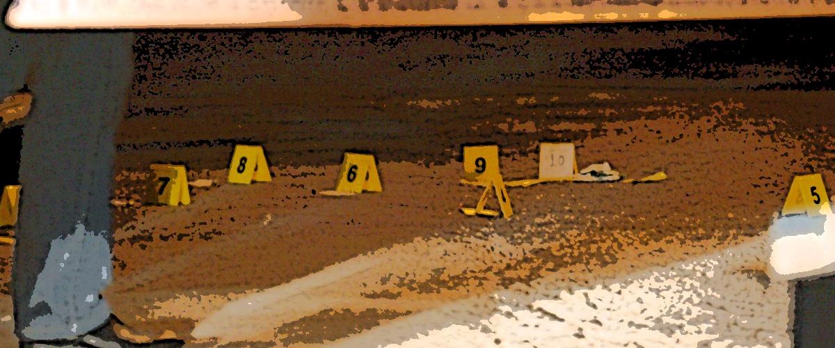 5239721801628340 Απόπιερα φόνου