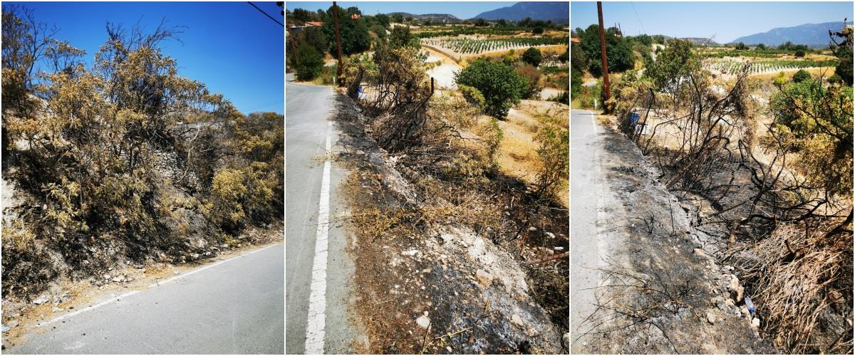 5239896787181616 omodos