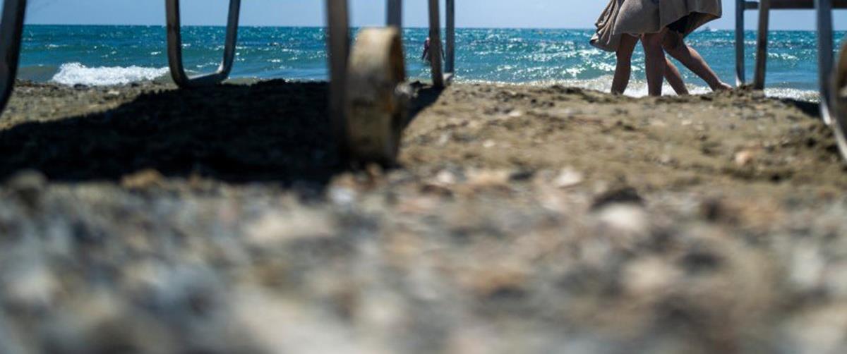 5240422694017845 cats