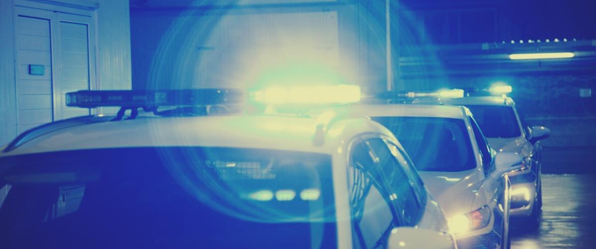 5240445004031221 cats