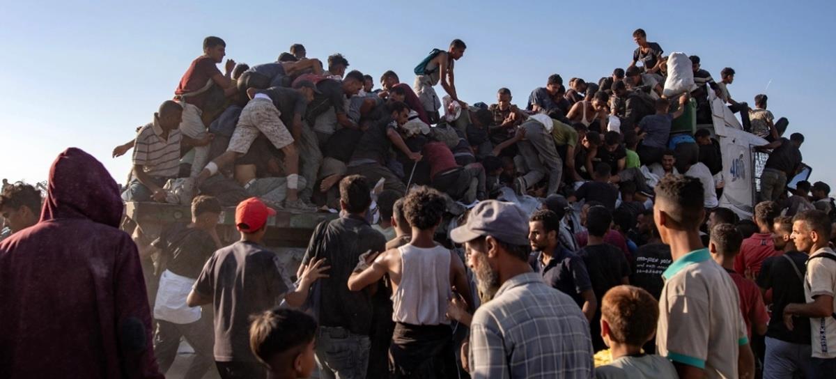 5240545000009696 cats