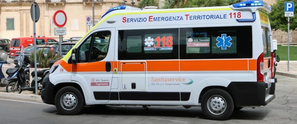 5240777452082121 cats