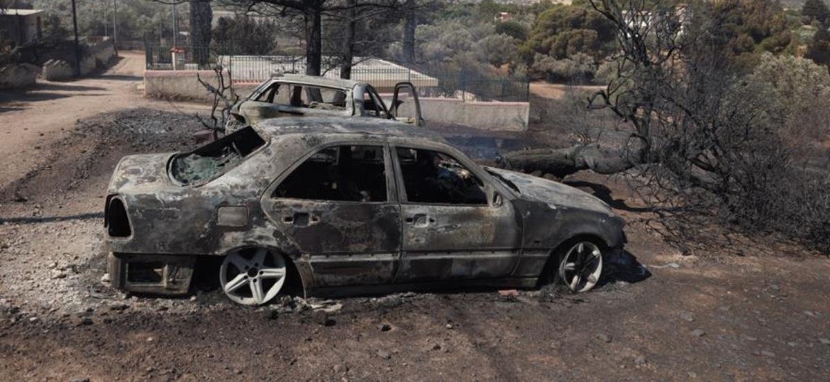 5240806500488301 cats