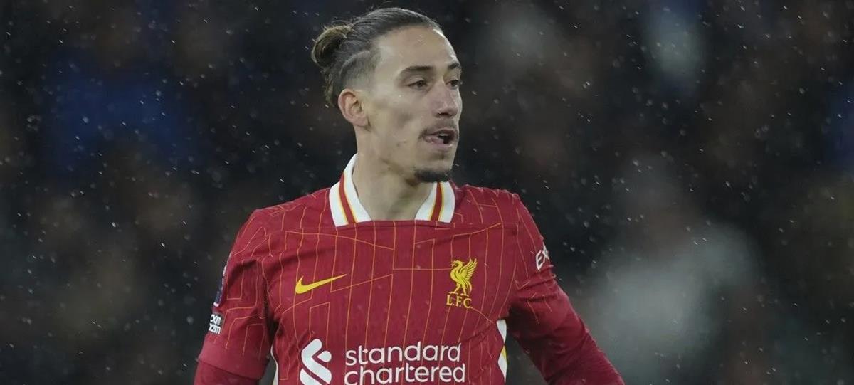 5241463706558728 cats