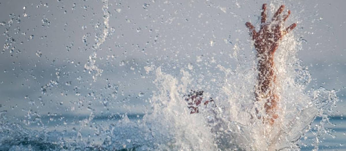 5241472952148893 cats