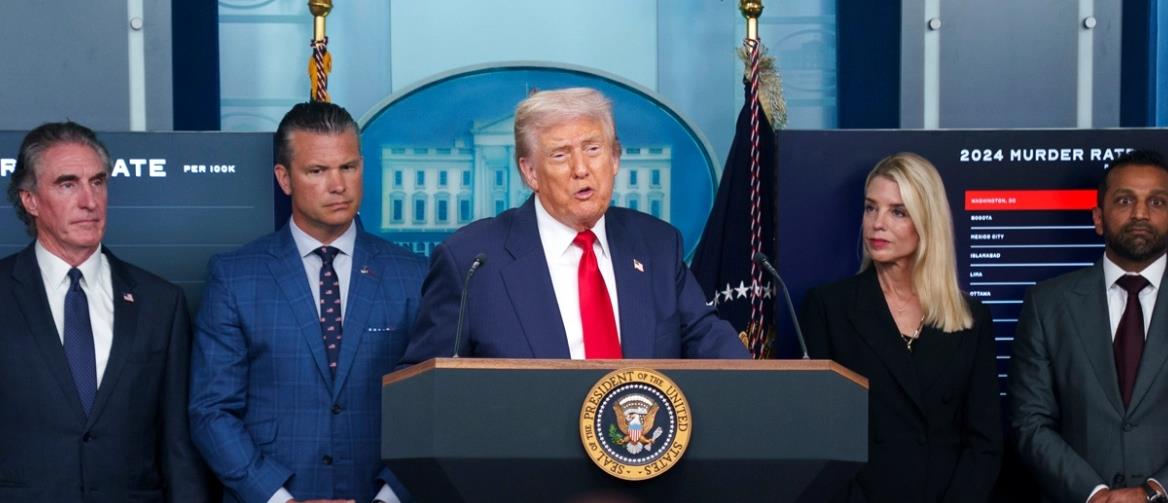 5242170202655342 cats