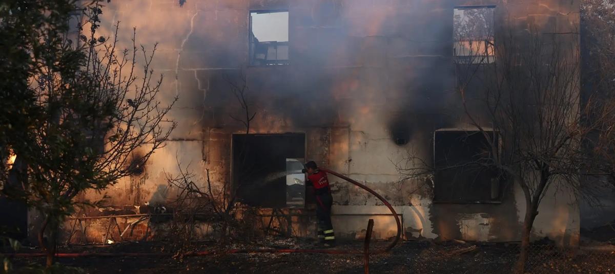 5242258986912973 cats