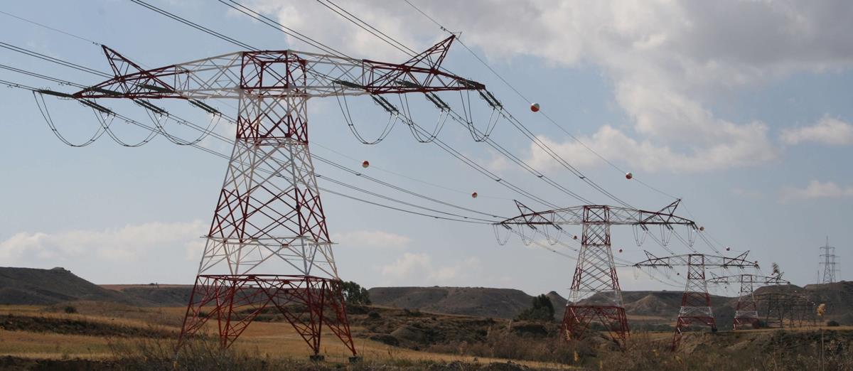 5242385951382722 cats