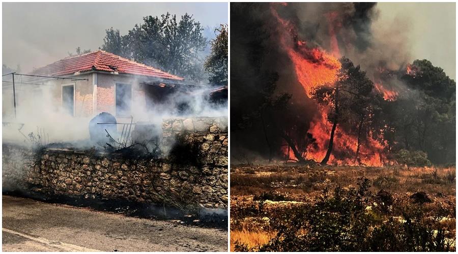 5242428310771301 page