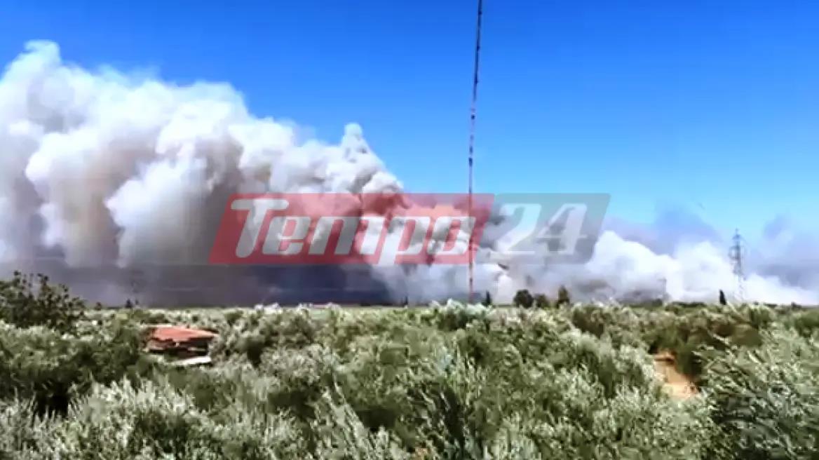 5242499704174201 image