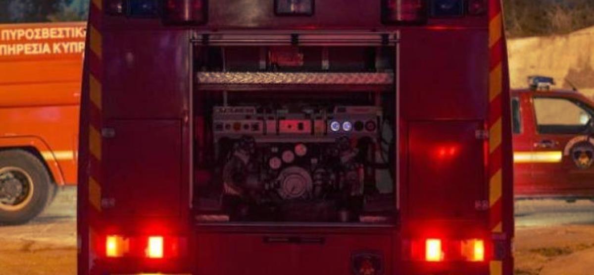 5243081916772026 cats