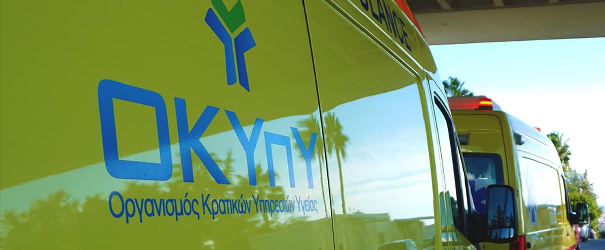 5243087334355279 cats