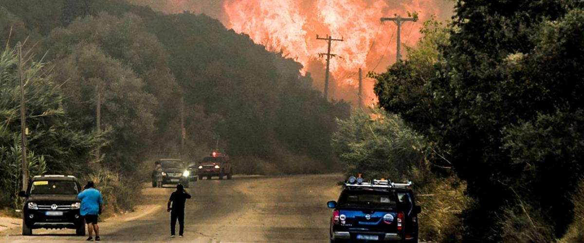 5243108201908662 cats