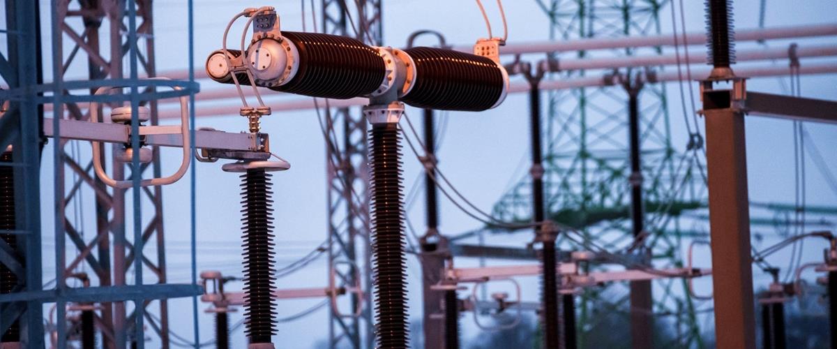 5243139116078088 cats